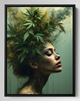 Cannabis Muse
