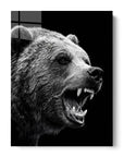 Bear Iced Out