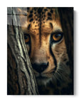 Cheetah Hiding