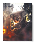 Koala Flame