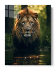 Lion in Water