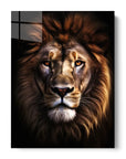 African Lion Black Portrait