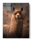 Alpaca Dust