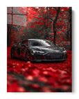 Audi Autumn
