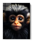 Baby Colobus Monkey Black Portrait
