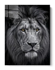 Black And White Lion