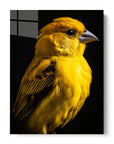 Canary Black Portrait