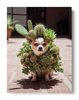 Chihuahua Cactus