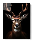 Deer Black Portrait