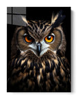 Earasian Eagle Owl Black Portrait