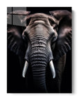 Elephant Black Portrait