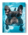 French Bulldog Swimming