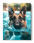 German Shepherd Swimming