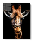 Giraffe Black Portrait