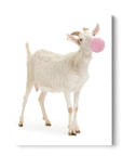Goat Bubblegum