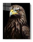 Golden Eagle Black Portrait