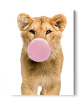 Lion Bubblegum