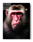 Macaque Black Portrait