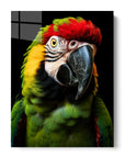 Macaw Parrot Black Portrait