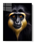 Monkey Black Portrait