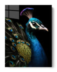 Peacock Black Portrait