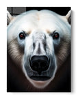 Polar Bear Black Portrait
