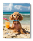 Poodle Beach