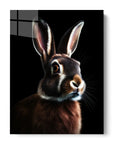 Rabbit Black Portrait