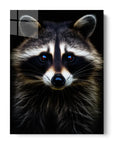 Raccoon Black Portrait