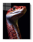 Red Snake Black Portrait