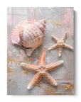 Sea Star Shell