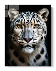Snow Leopard Black Portrait