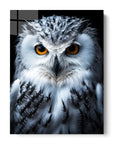 Snowy Owl Black Portrait