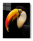 Toucan Black Portrait