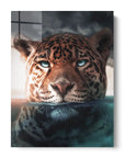 Underwater Jaguar