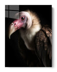 Vulture Black Portrait