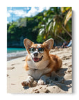 Welsh Corgi Tropical