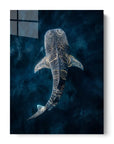 Whale Glowing Water