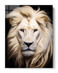 White Lion Black Portrait