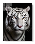 White Tiger Black Portrait