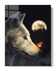 Wolf Butterfly
