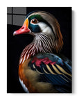 Wood Duck Black Portrait