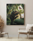 Chameleon Butterfly