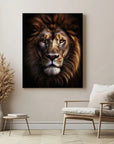 African Lion Black Portrait