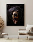 American Black Bear Black Portrait