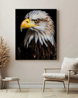Bald Eagle Black Portrait