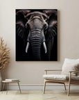 Elephant Black Portrait