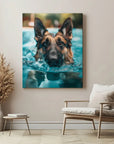 German Shepherd Swimming
