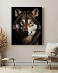Gray Wolf Black Portrait