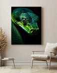 Green Snake Black Portrait